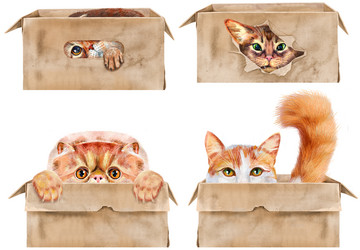 Similar image 21699081