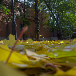 Similar image 21686638