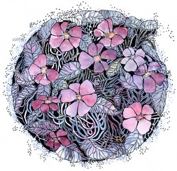 Similar image 21699083