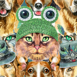 Similar image 21691108