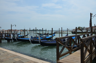 Similar image 21685996