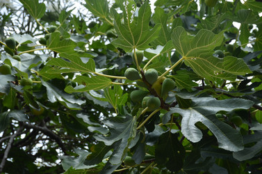 Similar image 21693877