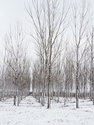 Similar image 21692642