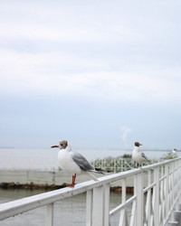 Similar image 21690547