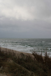 Similar image 21690548