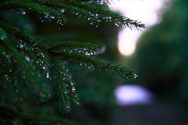 Similar image 21686674