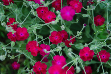 Similar image 21686818