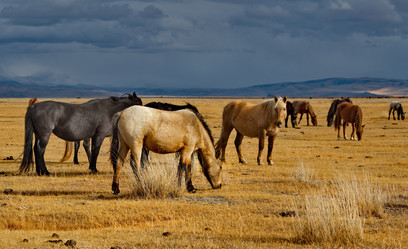 Similar image 21686002