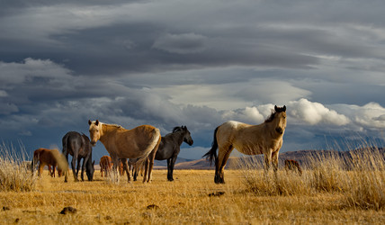 Similar image 21686003