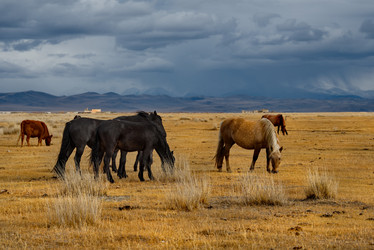 Similar image 21686004