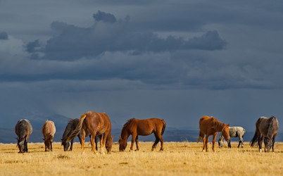 Similar image 21686006