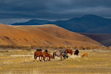 Similar image 21686168