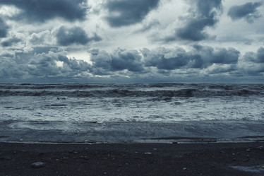 Similar image 21687812