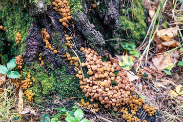 Similar image 21691297