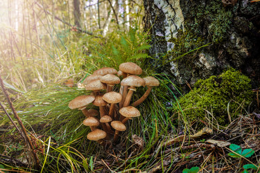 Similar image 21686203