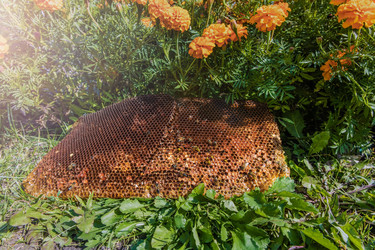 Similar image 21686204