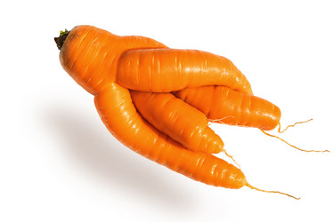 Similar image 21686205