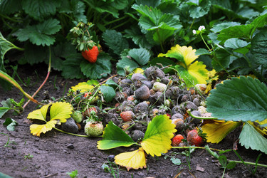 Similar image 21686207