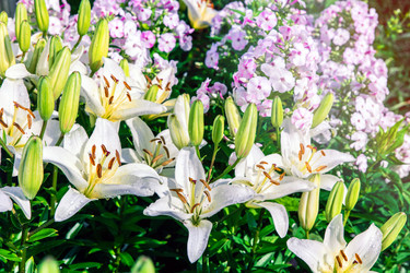 Similar image 21686210