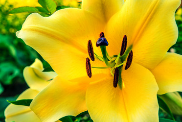 Similar image 21691300