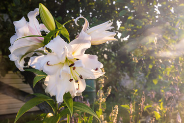 Similar image 21686211