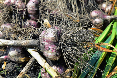 Similar image 21691301