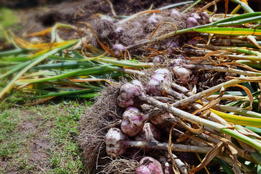 Similar image 21686212