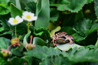 Similar image 21691304