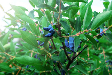 Similar image 21686214