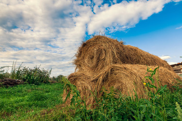 Similar image 21691305