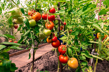 Similar image 21691306