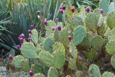 Similar image 21686221