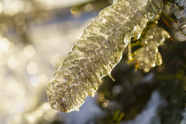 Similar image 21686223