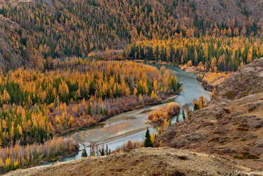 Similar image 21686225