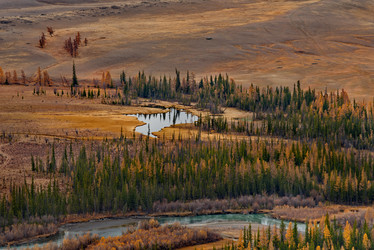 Similar image 21686226