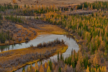 Similar image 21686227