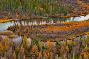 Similar image 21686228