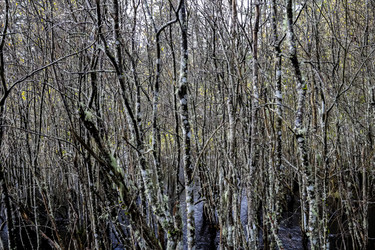 Similar image 21686345