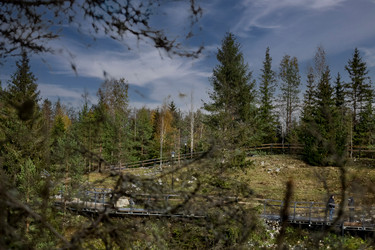 Similar image 21686010