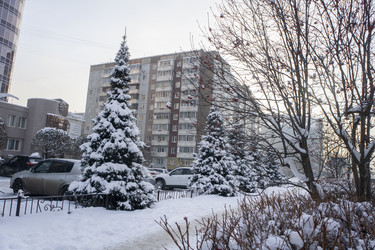 Similar image 21702305