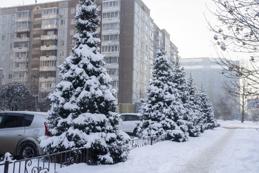 Similar image 21702306