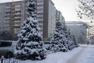 Similar image 21702310