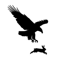 Similar image 21686170