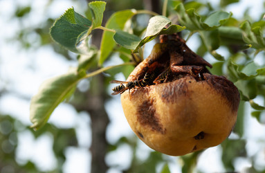 Similar image 21686677