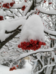 Similar image 21686678