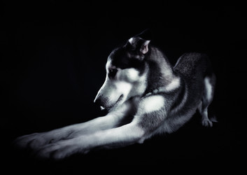 Similar image 21688504