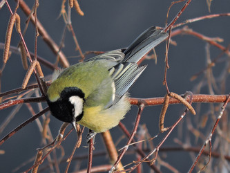 Similar image 21686680