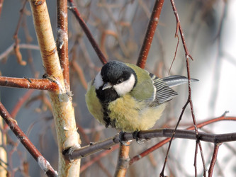 Similar image 21686681