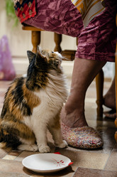 Similar image 21690553