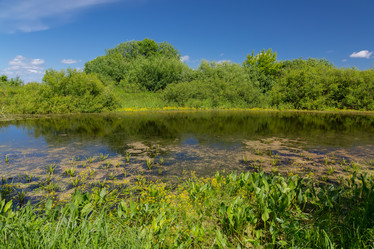 Similar image 21686842